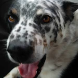 Meet your Posher, Anne